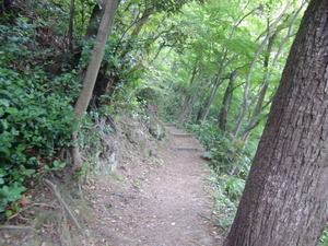 遊歩道