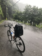 どおしようもない