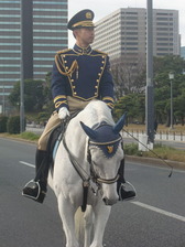 騎馬警官