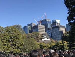 2019°ìÈÌ»²²ì11