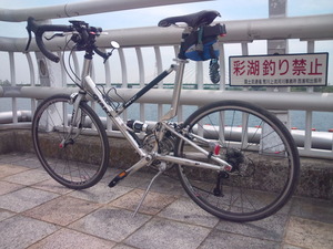 臨時ペダル