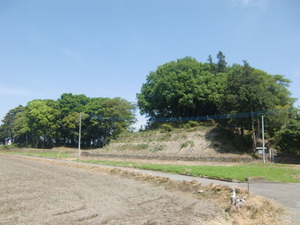 藤本観音山全景