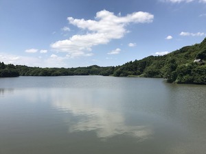 雄蛇が池