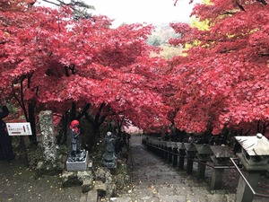 正面階段上から1