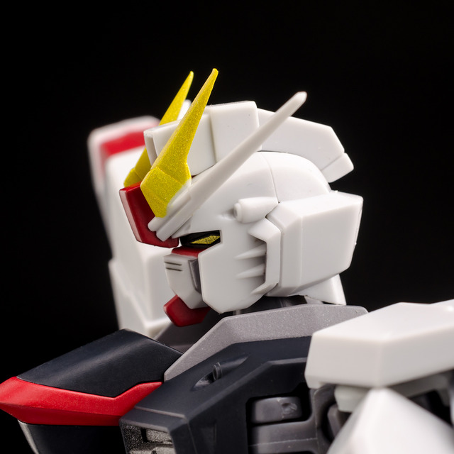 RT_Freedom Gundam-5