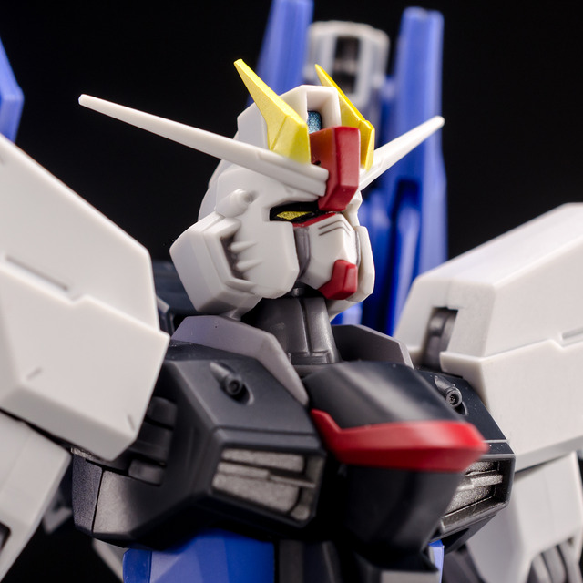 RT_Freedom Gundam-17