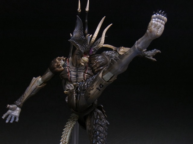 RIMG0552 (2)
