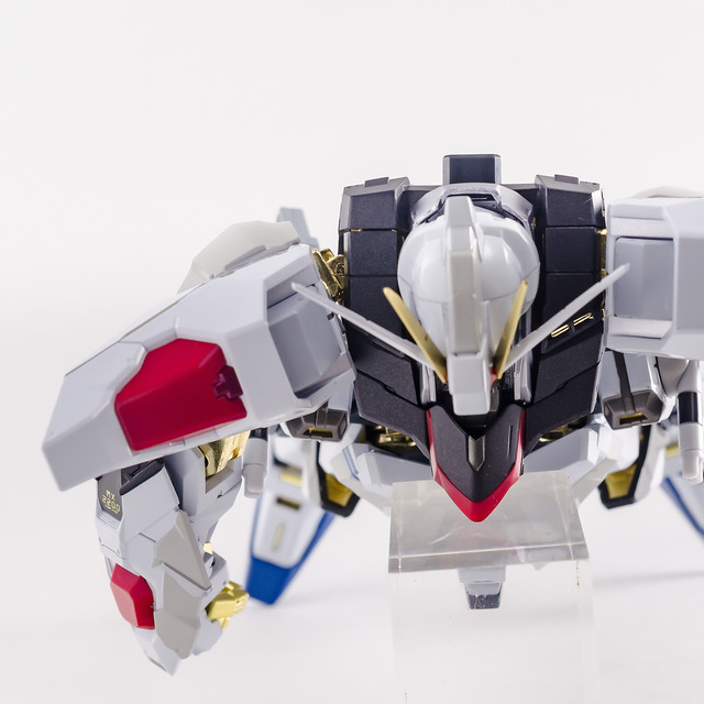 MB_STRIKE FREEDOM-21