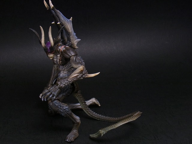 RIMG0553 (3)