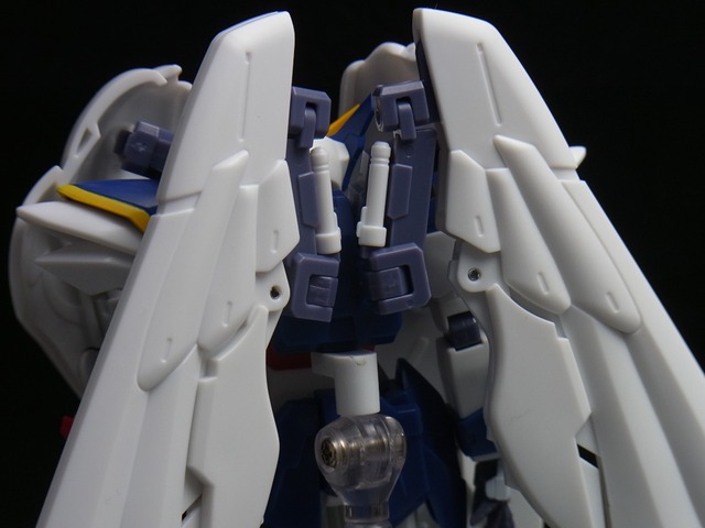 RIMG0897 (2)