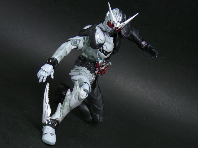 RIMG2995