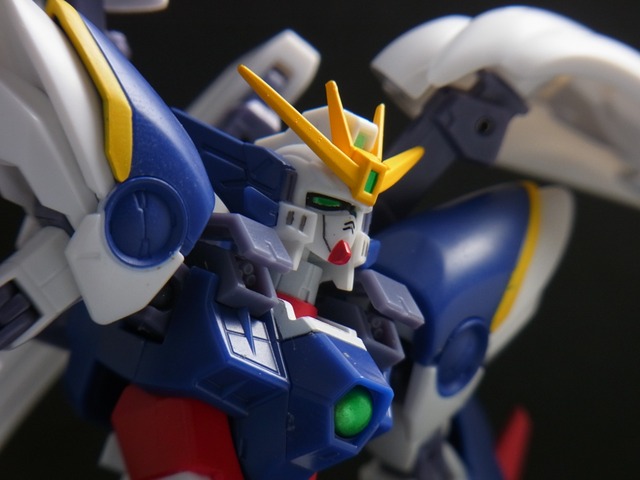 RIMG0850 (2)