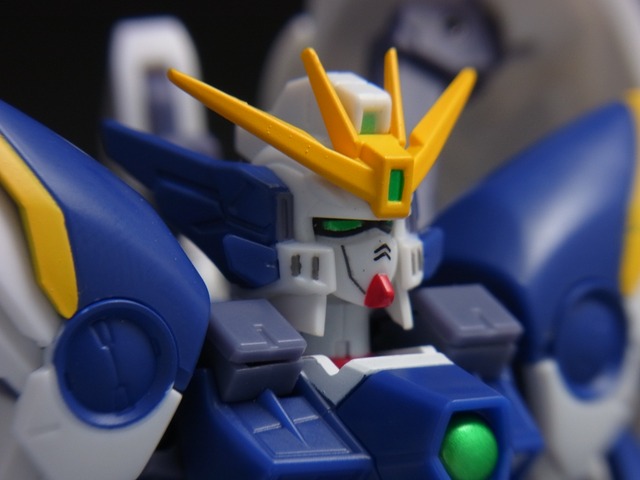 RIMG0833 (2)