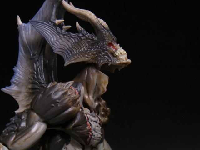 RIMG0547 (3)
