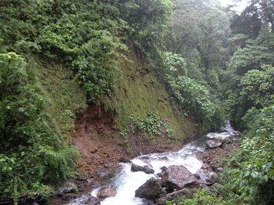 DSCN3338