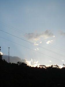 DSCN5394