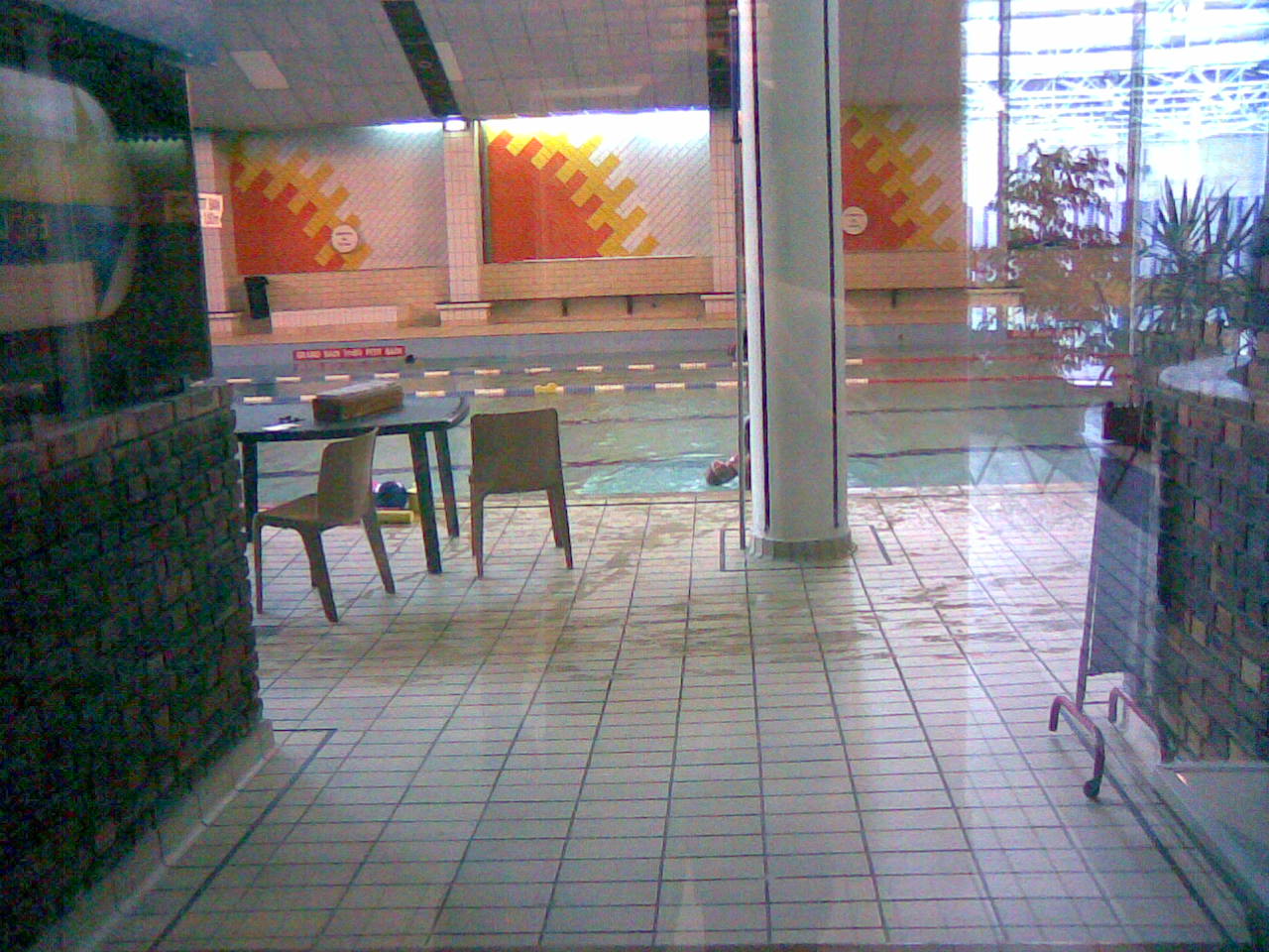 小学生女子全国陸上　スパッツ の掲示板投稿写真＆画像