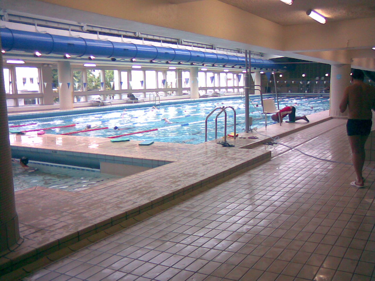 小学生女子全国陸上　スパッツ の掲示板投稿写真＆画像