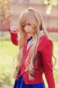 http://fc00.deviantart.net/fs71/f/2010/286/8/f/taiga_by_vesta777-d30ow7o.jpg