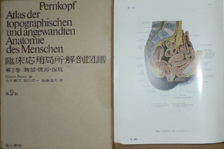 Pernkopf：臨床応用局所解剖図譜 : ぶつぶつもぐもぐ 日々の食生活とか云々