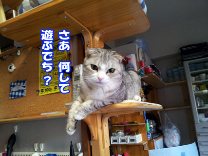 kenkounote10