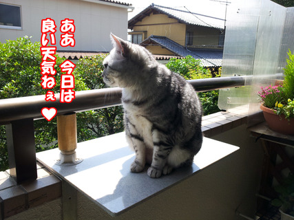 kenkounote01
