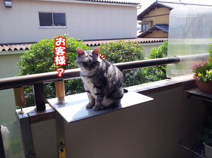 kenkounote02