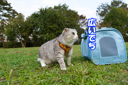 osoto07