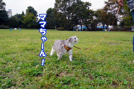 osoto12