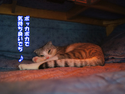 11111912