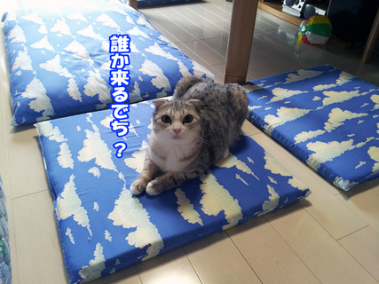 kenkounote03