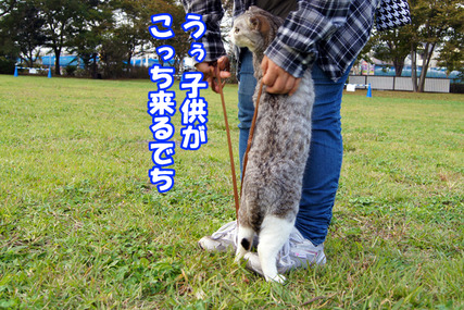 osoto14