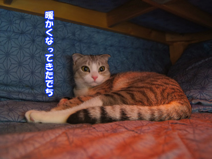 11111911