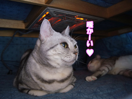 11111920