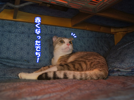 11111910