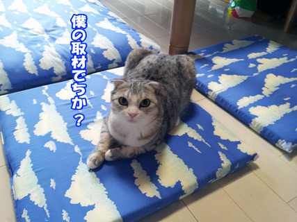 kenkounote04