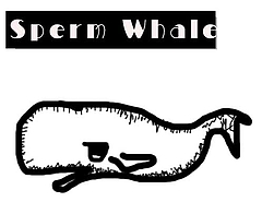 アルメリック 】Sperm Whale (スパムホエール) 再入荷