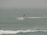 IMG_8592