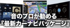 2016carnavi-300x120