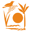 Honolulu Festival Official Homepage