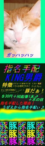 8b7e5a43.jpg