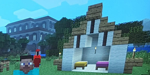 Minecraft15x_wood