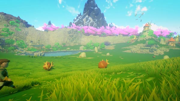 yonder4