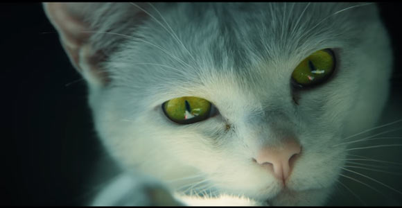 RedDot