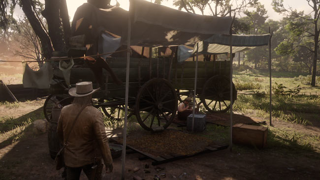 rdr2_chapter4_3nono1