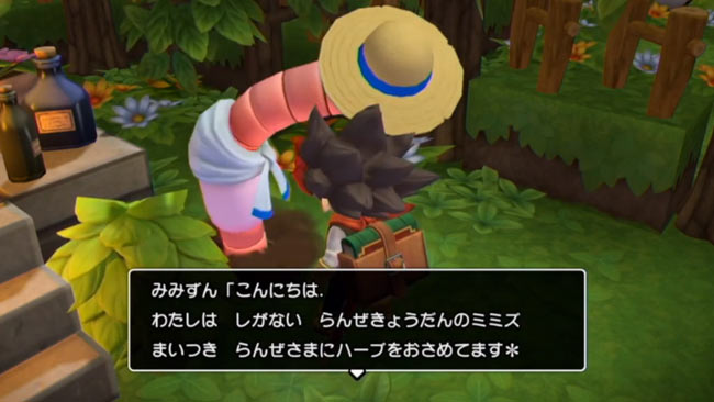 dqb2owaranai20