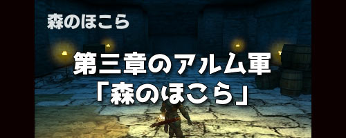 fee_echos3aru_battle6