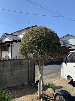 D89B158C-A654-42BD-A56B-FC25005C5592