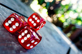images (6)