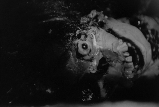 NightOfLivingDead3